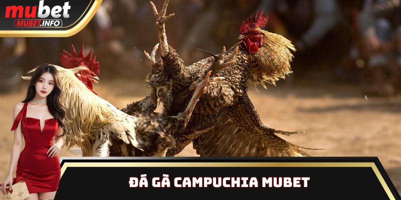 Đá gà Campuchia